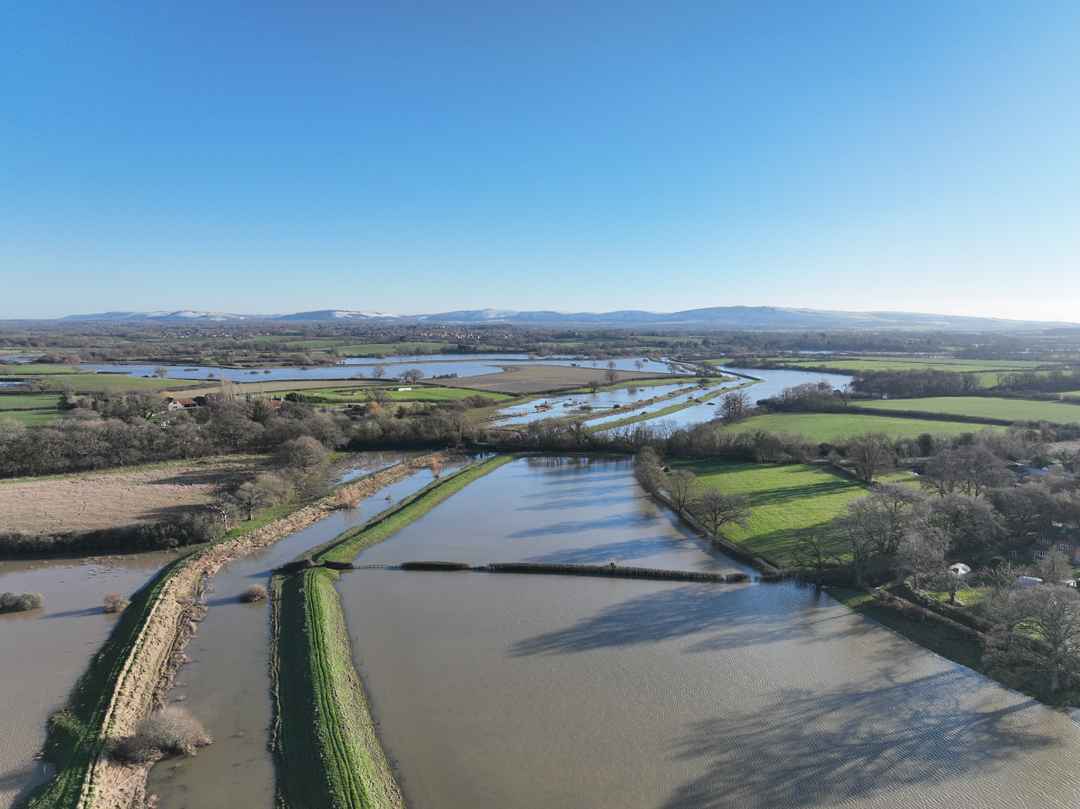 Adur River Recovery is an ambitious land manager-led project to revitalise and restore one of the biggest rivers in West Sussex to improve water quality and biodiversity © Adur River Recovery.jpg