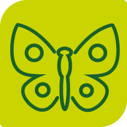 Thriving plants and wildlife